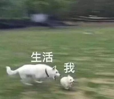这是一张经过文字加注改编的静态动物照片，画面背景是户外的绿色草地，一只体型较大的白色狗狗在后方奋力追赶一只体型小巧的浅色小狗，创作者分别为两只狗狗添加了文字标注“生活”和“我”，用生动直观的动物追逐场景，隐喻现实生活中人们被生活的压力、各种琐事追赶，疲于奔命的状态，精准地戳中了当代人面对生活压力时的无奈与疲惫，能够引发强烈的情绪共鸣。