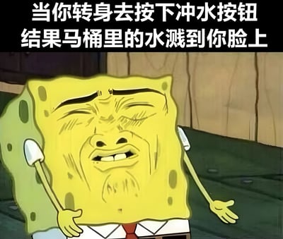 图片上方有两行白色文字：'当你转身去按下冲水按钮 结果马桶里的水溅到你脸上'。下方是卡通角色海绵宝宝的特写，他眉头紧锁，双眼紧闭，嘴巴微张，表情痛苦又无奈，身体微微后仰，双臂自然下垂，似乎刚经历了马桶水溅脸的尴尬瞬间。整体画面通过夸张的表情和生活化场景引发共鸣，带有幽默搞笑的效果。