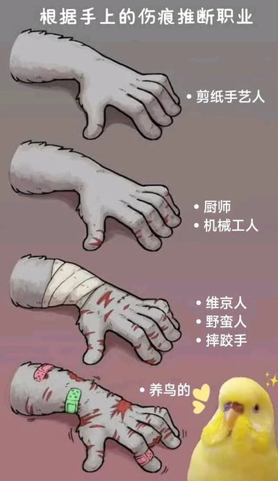 这是一张幽默梗图，通过展示四只不同伤痕的卡通手来调侃“根据手上伤痕推断职业”的逻辑。从上到下，第一只手有轻微划伤，标注为“剪纸手艺人”；第二只手伤痕较多，对应“厨师”“机械工人”；第三只手缠着绷带且伤痕严重，被归类为“维京人”“野蛮人”“摔跤手”；最下方的手有多处细小伤口和创可贴，旁边配了一只黄色小鸟，标注“养鸟的”，用夸张对比制造笑点。