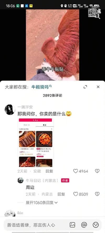 这张图片是一个社交媒体截图，展示了一个关于牛的帖子及其评论区互动。上方是一张牛的照片，配文"乖牛牛贴贴"。下方显示大家都在搜索"牛能骑吗"，并有2892条评论。最上方的评论来自用户"一隅浮安"，问"那我问你，你卖的是什么"并配有一个笑哭表情，评论下方还展示了几张肉类食品的图片。作者"牛日日记（内蒙古）"回复"周边"。这张截图记录了社交媒体上有趣的问答互动。