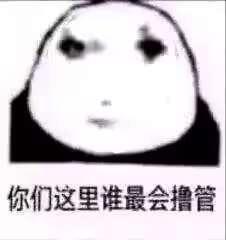 这是一张基于熊猫头表情包模板改编的搞笑玩梗图，图中是一个面部表情呆滞、略带疑惑的熊猫头卡通形象，下方配有直白戏谑的文字“你们这里谁最会撸管”，通过无厘头的提问制造尴尬又搞笑的氛围，多用于社交平台和朋友间的玩梗调侃。