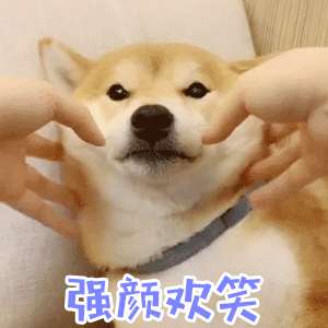 柴犬被强行掰嘴笑 强颜欢笑表情包