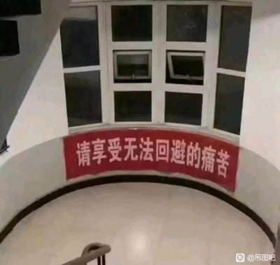 这是一张在室内旋转楼梯间拍摄的照片，画面中弧形的楼梯墙面上悬挂着一条红底白字的标语，内容为“请享受无法回避的痛苦”。背景是几扇关闭和半开的窗户，下方能看到楼梯的扶手，整体场景看起来像是办公楼或者公寓的楼梯区域。这句标语带有强烈的自嘲与无奈感，既可以调侃爬楼梯时不得不承受的体力消耗，也能被引申为对生活、工作中那些无法逃避的压力与困境的戏谑表达，容易引发人们的共鸣。