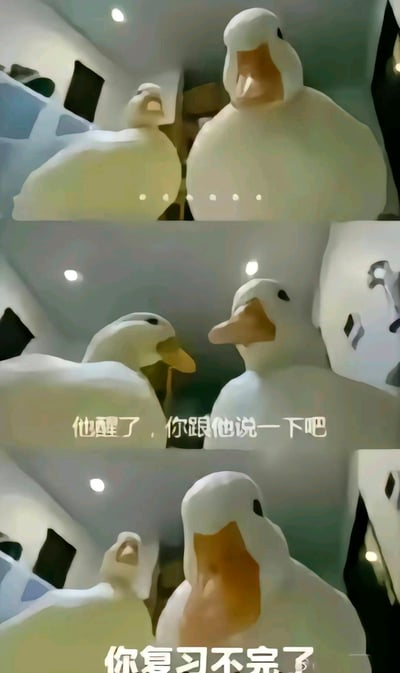 这是一组由三格画面组成的连环AI生成梗图，画面主体是几只拟人化的白色鸭子。第一格画面中两只鸭子正盯着镜头，营造出被注视的压迫感；第二格画面里右侧鸭子转头对左侧鸭子说道“他醒了，你跟他说一下吧”，模拟出传话的场景；第三格画面中前景的鸭子直接对着镜头说出“你复习不完了”，将镜头前的观看者代入到被通知复习任务的角色中。整组图用生动的拟人化场景，调侃了学生、备考人群面对海量复习任务时的焦虑与压力，通过鸭子传话的趣味形式，放大了那种被学习任务追赶的紧迫感，容易引发相关人群的共鸣。