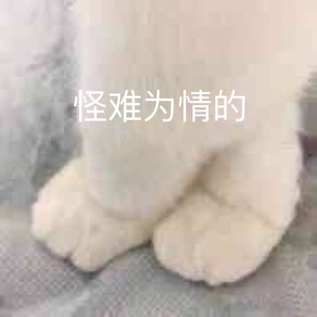 猫咪肉垫特写：怪难为情的