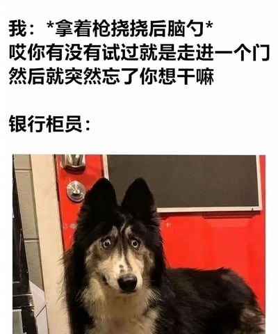 这是一张搞笑梗图，上方文字描述“我”拿着枪挠后脑勺问“哎你有没有试过就是走进一个门然后就突然忘了你想干嘛”，中间文字标注“银行柜员：”，下方是一张表情困惑的狗站在红色门前的照片。图片通过将狗的困惑表情与银行柜员的反应联系起来，幽默地表现了人们经常忘记自己为什么进入某个房间的常见经历。