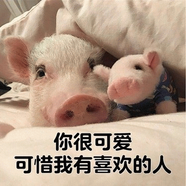 小猪和玩偶：你很可爱但我有喜欢的人