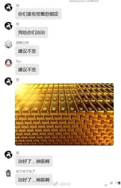 这是一段2023年2月10日的即时通讯软件聊天记录截图，内容围绕“治疗密集恐惧症”展开搞笑互动。用户“慈”先询问群内谁有密集恐惧症，并表示要为大家治疗，用户“路蒙三待”和“flys”都回复“建议不发”，随后“慈”发出一张大量密集排列的金条图片，紧接着“慈”和用户“完了完了完了”都调侃“治好了，神医啊”。这个内容利用了反差感制造笑点：原本密集的画面会让密集恐惧症患者产生不适，但换成代表财富的金条后，人们不仅不会反感，反而心生喜爱，用这种反讽的方式调侃了人们对财富的向往，消解了密集画面带来的不适感，是一个很有趣的网络梗。