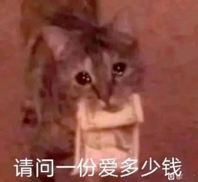 这是一张静态表情包图片，主体是一只带有虎斑花纹的猫咪，它的眼睛湿漉漉的，神情委屈又带着渴望，嘴里叼着一张类似纸币的物品，仿佛在向人递钱询问。图片底部配有白色文字“请问一份爱多少钱”，采用拟人化的手法，借猫咪的口吻表达出渴望得到爱却又产生“爱是否需要用金钱衡量”的迷茫与委屈情绪，整体风格软萌又带着一丝心酸，非常适合在聊天中用来表达自己渴望被爱、或是在感情里感到不安的细腻心情。