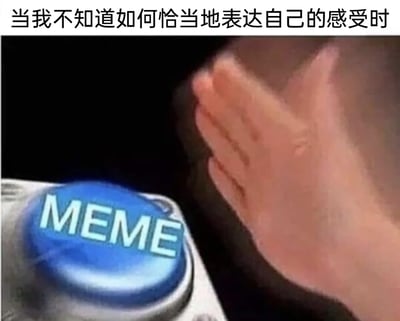 这是一张图文结合的网络梗图，画面顶部配有文字“当我不知道如何恰当地表达自己的感受时”，下方是一个印有白色“MEME”字样的蓝色大按钮，一只真人的手正按下这个按钮。该图精准捕捉了当代网络社交中的常见场景：当人们无法用精准的语言描述内心情绪时，就会选择用梗图（MEME）来替代文字，以此高效传达自己的感受，十分贴合当下年轻人的社交习惯。