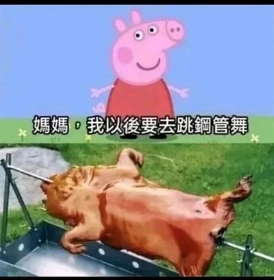这是一张上下拼接的静态恶搞梗图，上半部分是经典幼儿动画《小猪佩奇》的主角小猪佩奇，它有着粉色的皮肤、红色的连衣裙，面带开心的微笑，双臂向身体两侧自然张开，下方配有绿色背景的白色文字“妈妈，我以后要去跳钢管舞”；下半部分是现实场景中的一只烤乳猪，它被串在旋转烤架的金属钢管上，呈现出等待被烤制的状态。这张图利用“钢管舞”的字面含义制造强烈的反差与黑色幽默：佩奇所说的“钢管舞”是指以钢管为道具的舞蹈，而下半部分的烤乳猪被串在钢管上的画面，暗喻了猪最终被屠宰烤制的命运，形成了讽刺又搞笑的双关效果，属于网络上常见的低俗恶搞类内容。