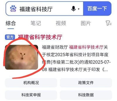 这是一张带有标注的百度搜索网页截图，用户搜索关键词为“福建省科技厅”，搜索结果首位为福建省科学技术厅的官方政务条目，但本该匹配官方相关内容的左侧缩略图却被搜索引擎算法错误匹配为一张带有三个黑点、看起来像卡通笑脸的浅棕色面点图片，该异常的滑稽缩略图被发布者用红色圆圈特意圈出，严肃的政务公开内容和搞笑的错位缩略图形成强烈反差，具有十足的趣味性，属于网友分享的搜索引擎失误巧合梗。