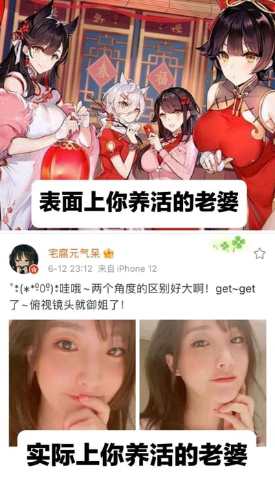 这是一张竖屏的上下对比类梗图，上半部分展示了多位身着中式旗袍的二次元美少女，背景带有“春”“福”字样的传统装饰，角色们手持灯笼、红包，氛围喜庆，配文“表面上你养活的老婆”，代表ACG爱好者心中理想的二次元“老婆”形象；下半部分是来自微博用户“宅腐元气呆”的内容，包含该用户的两张自拍，配文“°*(*ﾟOﾟ)*哇哦～两个角度的区别好大啊！get~get了~俯视镜头就御姐了！”，下方对应配文“实际上你养活的老婆”，利用拍照角度带来的形象反差，调侃ACG爱好者理想中的“老婆”和现实里自己（或身边人）的形象落差，是典型的ACG圈自嘲类梗图。
