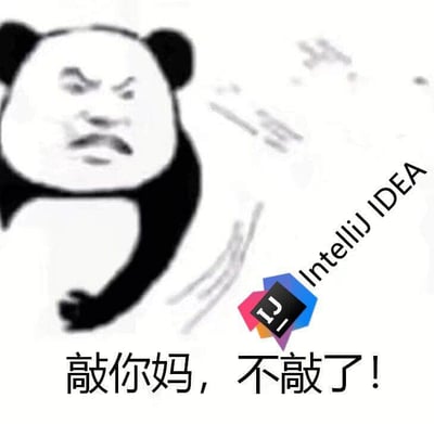 图片左侧是一个表情愤怒的熊猫头表情包，右侧有IntelliJ IDEA的logo，底部配有文字'敲你妈，不敲了！'，整体表达了程序员对使用IntelliJ IDEA编程时可能遇到的挫折或厌倦情绪，带有幽默和发泄的意味。