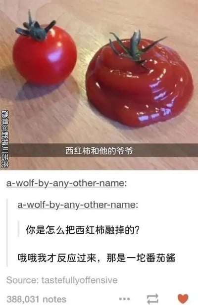 这是一张创意搞笑的图文混排社交媒体截图，上方的实物图中，左侧是一颗形态完整的红色小番茄，右侧是一团摊开的番茄酱，顶部被放置了一个番茄蒂，两者并列摆放，搭配配文“西红柿和他的爷爷”，用拟人化的方式调侃番茄酱是西红柿的“爷爷”，玩了一个基于食物加工关系的趣味梗——因为番茄酱是由西红柿加工制成，相当于西红柿的“进阶形态”或“长辈形态”。下方是社交平台的评论区内容，用户“a-wolf-by-any-other-name”先是被视觉效果误导，疑惑询问“你是怎么把西红柿融掉的？”，随后反应过来，恍然大悟地补充“哦哦我才反应过来，那是一坨番茄酱”，生动展现了看到这张创意图时的常见误解与醒悟过程，增添了趣味感。