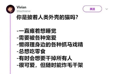 社交媒体用户Vivian (@suchnerve)发布的一条动态，以'你是披着人类外壳的猫吗?'为标题，列出一系列猫系人类的特征，包括'一直瘫着想睡觉'、'需要被各种宠爱'、'懒得理身边的各种抓马戏精'等，用幽默自嘲的方式描述自己的生活状态。截图中可见用户头像、用户名、关注按钮及完整文字内容。