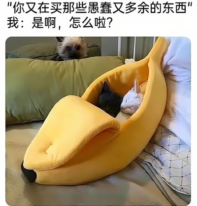 图片上方有两行文字对话："你又在买那些愚蠢又多余的东西"和"我：是啊，怎么啦？"。图片主体部分展示了两只猫（一只黑猫和一只白猫）舒适地睡在一个黄色的香蕉形状宠物床上，背景中还有一只狗从绿色靠垫后探出头来，表情似乎有些疑惑地看着这两只猫。整个场景发生在室内沙发上，营造出一种幽默有趣的氛围，通过可爱的宠物和文字对话形成反差萌，表达了一种对购买看似无用但能带来快乐的物品的理直气壮态度。