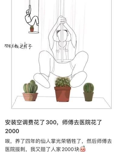 线稿风格漫画描绘了一个搞笑又无奈的场景：画面中央是一位坐在地上、双手抱杆的空调安装师傅，前方摆放着三盆仙人掌；左侧高处有一个小人吊在绳子上，下方也挂着一盆小盆栽，旁边配文“现场大概这样子”。下方文字解释了事件经过：安装空调花费300元，结果师傅被仙人掌扎伤，去医院花了2000元，养了四年的仙人掌也因此“牺牲”，主家还额外赔偿师傅2000元，整体呈现出因意外导致的连锁损失的幽默故事。