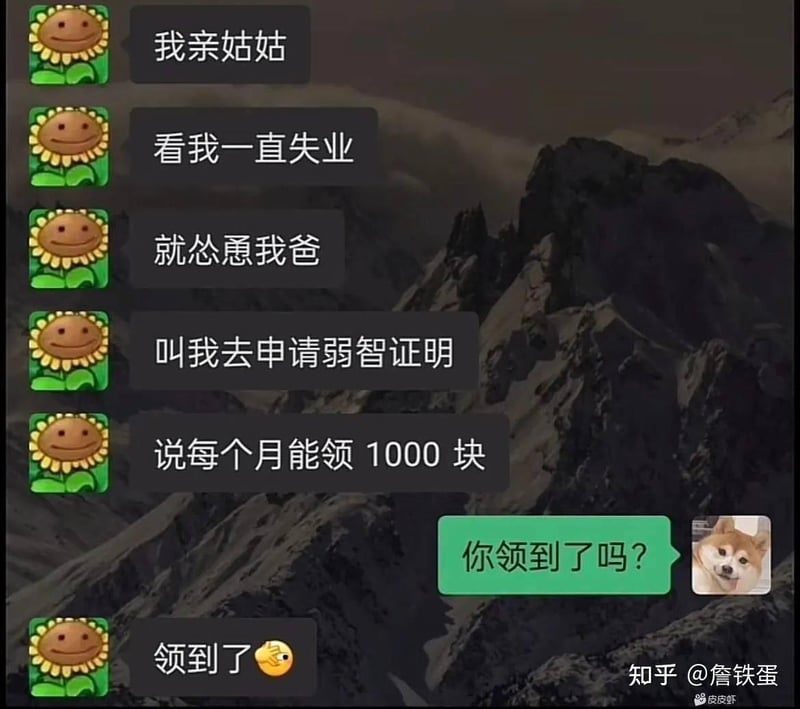 向日葵