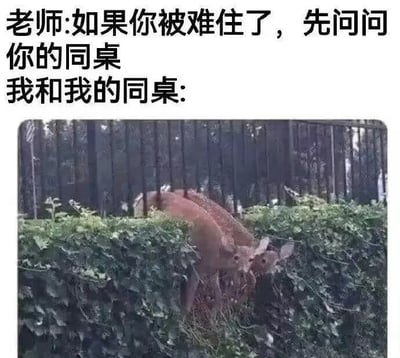 这是一张顶配底文图，上方是文字内容，老师说道“如果你被难住了，先问问你的同桌”，随后用“我和我的同桌:”引出下方的图片。下方图片是两只鹿挤在灌木丛的后方，它们的头部和部分身体露出，姿态显得茫然又无措，仿佛正对应着遇到难题的“我”和同桌，生动地调侃了学生时代遇到不会的问题时，自己和同桌都毫无头绪，就算互相询问也得不到答案的尴尬处境，用动物的状态还原了两人都懵圈的无奈场景。