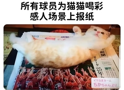 图片上方配有文字“所有球员为猫猫喝彩 感人场景上报纸”，下方是一只橘白相间的猫咪仰卧在报纸上的照片。报纸上印有一群穿着红色球衣的球员高举双手的画面，猫咪恰好躺在球员们的上方，形成了仿佛球员们正在为这只猫咪欢呼喝彩的幽默视觉效果，整体风格轻松有趣。
