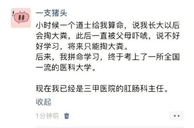 这是一张中文社交媒体用户发布的动态截图，发布者昵称“一支猪头”，头像是粉色卡通猪头图案。内容为发布者分享的趣味经历：小时候有道士算命称他长大后会掏大粪，父母便以此吓唬他不好好学习将来只能做这份工作，他因此拼命学习考上了全国一流医科大学，现在成为了三甲医院的肛肠科主任，内容以反转的形式制造笑点，调侃算命的说法以另一种意料之外的方式“应验”。