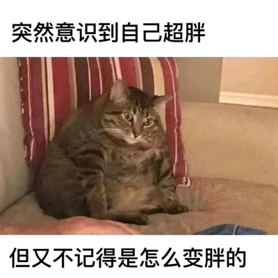 这是一张文字加注类的静态表情包，主体是一只体型肥胖的狸花猫，它瘫坐在沙发的角落位置，身体蜷缩着，眼睛瞪大，脸上露出震惊又茫然的神情，姿态显得有些局促。图片上方配有文字“突然意识到自己超胖”，下方配有文字“但又不记得是怎么变胖的”，通过猫咪的生动状态和贴合日常的文字，精准地还原了很多人突然发现自己体重增长后，既惊讶又困惑自己为何变胖的真实心情，内容搞笑且容易引发大众共鸣，常被用来调侃身材相关的日常小烦恼。