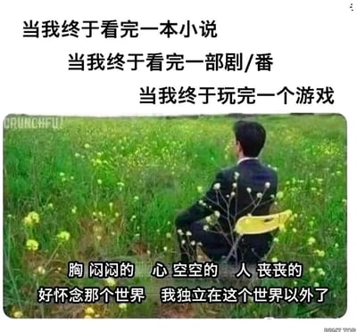 这是一张引发情感共鸣的网络梗图，采用图文混排的形式呈现。上方三行文字分别列举了三种容易让人投入大量情感的场景：看完一本小说、看完一部剧或番剧、玩完一个游戏。下方是经过P图改编的真实照片，画面中一位身着西装的男子背对着镜头，坐在户外长满黄绿色小花的草地的小型黄色椅子上，姿态落寞，仿佛与周遭世界脱节。图片底部的文字精准描述了经历这些场景后的内心状态：胸闷、内心空虚、整个人沮丧低落，十分怀念作品构建的虚构世界，感觉自己仿佛被隔绝在现实世界之外，完美戳中了大众沉浸在虚构作品后回归现实时的失落情绪，极易引发同类感受人群的共鸣。
