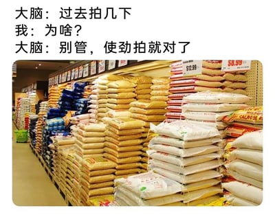 这是一张图文结合的趣味梗图，上方设置了三段脑内对话：大脑先发出指令“过去拍几下”，“我”疑惑地询问“为啥？”，大脑则催促“别管，使劲拍就对了”；下方配图是超市的米粮售卖区，货架上整齐堆叠着多种包装、色彩各异的袋装粮食，包括黄色、白色、蓝色等不同样式的米袋，部分米袋上方贴有价格标签，显示价格为8.99美元和12.99美元。该图通过结合日常逛超市的场景与人们常会出现的无意义小冲动（想拍一拍堆叠的米袋），制作成趣味内容，引发有相同经历的人的共鸣，调侃这种莫名其妙的脑内指令和行为冲动。