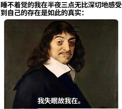 图片上方配有文字'睡不着觉的我在半夜三点无比深切地感受到自己的存在是如此的真实：'，下方是哲学家勒内·笛卡尔的经典肖像画，画中人物表情严肃沉思，底部叠加文字'我失眠故我在。'。该图通过改编笛卡尔'我思故我在'的哲学名言，幽默调侃深夜失眠时的清醒状态，将严肃哲学与现代生活困扰结合，产生反差喜剧效果。