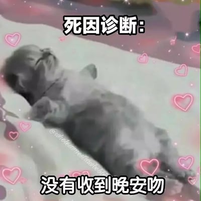图片是一只可爱的小猫咪仰面躺着，配以粉色爱心和梦幻滤镜，上方文字为“死因诊断：”，下方为“没有收到晚安呐”。整体风格卖萌治愈，表达了因为没有收到重要人的晚安消息而‘悲伤致死’的夸张心情。在社交平台作为撒娇、求关注的可爱梗图广泛流传。

**双关与暗示**：‘死因诊断’本为医学术语，在这里作为撒娇梗出现，带有夸张与反差萌效果。