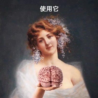 这是一张经过二次创作的网络梗图，基底是西方古典风格的女性肖像油画：图中女性头发装饰着蓝紫色花簇，身着轻薄白色纱衣，面带温和微笑，双手捧着一颗高度写实的人类大脑；图片上方配有醒目的文字“使用它”，整体用古典优雅的视觉风格搭配直白的元素与文字，意在呼吁人们动用理智、进行思考，不要冲动行事，常被用来调侃或提醒他人动脑子处理问题。