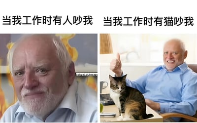 这是一张对比梗图，展示了同一个人在工作时被人打扰和被猫打扰的两种截然不同的反应。左图中，白发男子表情严肃、眉头紧锁，背景有火焰效果，配文'当我工作时有人吵我'；右图中，同一名男子面带微笑、竖起大拇指，桌上有一只猫，配文'当我工作时猫吵我'。通过强烈的对比幽默地表达了猫奴对猫咪打扰的宽容态度。