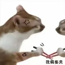 这张图是“你好我吃一点”系列的衍生表情包，主角是一只橘色猫咪，正面带愤怒表情，执拗地举着筷子要夹东西。画面右下配有“我偏要夹”的中文文本，突出了猫咪执着、任性、不服输的趣味个性。整体气氛夸张搞笑，很适合用来表达在美食、抢东西或生活争抢场景中的坚持与倔强。

双关及暗示：图中文字和画面夸张表达了现实生活中“非要尝一口”“坚持己见”的行为，拟人化强化了共鸣感，营造良好社交互动氛围，非常适合斗图场景。