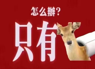 这是一张红色背景的谐音梗表情包，画面上方配有疑问文字‘怎么辦？’，下方是大号白色文字‘只有’，同时将一只鹿的头部从管道状物体中探出，与‘只有’文字组合形成‘只有鹿（路）’的视觉效果。
谐音梗说明：利用‘鹿’与‘路’的谐音，搭配上方的疑问，传递出‘只有一条路可走，该怎么办’的无奈与困惑情绪，适合在聊天中表达陷入别无选择的困境时的纠结心情。