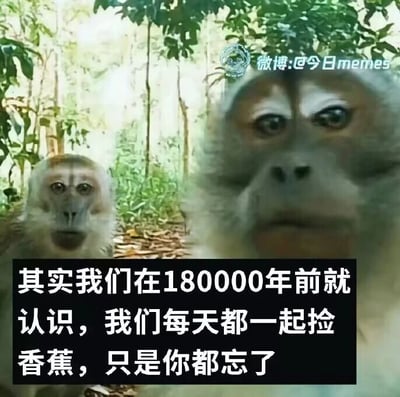 这是一张经过文字加注的静态单图，画面呈现了两只身处热带雨林林间的猕猴类动物，前景的猴子占据画面右侧区域，眼神略带茫然，神态凝重地直视镜头；背景的猴子在画面左侧，同样直视镜头，神态懵懂。图片底部配有白色的拟人化文案：“其实我们在180000年前就认识，我们每天都一起捡香蕉，只是你都忘了”，将猴子拟人化，赋予它们跨越18万年的旧识关系，用荒诞又带着一丝温情的设定制造搞笑效果，图中没有双关、谐音梗等特殊内容。