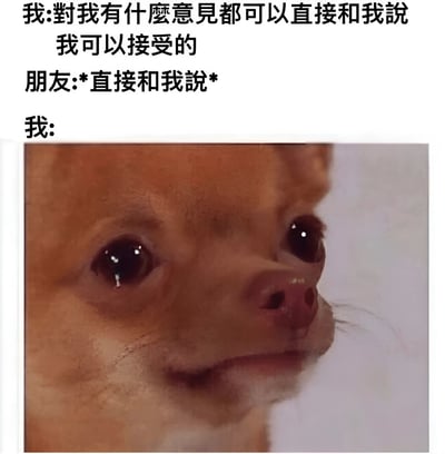 图片上方为三段文字对话，第一段是“我:对我有什么意见都可以直接和我说 我可以接受的”，第二段是“朋友:*直接和我说*”，第三段是“我:”。文字下方是一张吉娃娃的近距离特写照片，小狗眼睛睁大，眼神中带有震惊和一丝泪光，生动表现出嘴上说能接受意见，当朋友真的直接提出时自己内心的真实震惊反应。