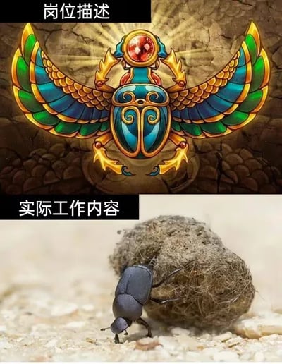 该图为上下对比式梗图，上半部分展示了装饰华丽、带有宝石和金色纹样的古埃及风格圣甲虫插画，搭配文字“岗位描述”，暗喻招聘时将岗位包装得高端光鲜、极具吸引力；下半部分是真实蜣螂（屎壳郎）在沙土上推粪球的实拍照片，搭配文字“实际工作内容”，用两者的强烈反差，讽刺职场招聘中岗位描述与实际工作内容严重不符、岗位被过度美化包装，实际工作内容琐碎甚至不如预期的现象。