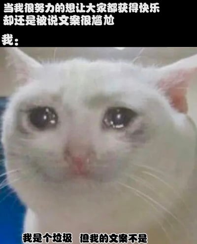 这是一张带有自嘲幽默的梗图，上方文字写着'当我很努力的想让大家都获得快乐 却还是被说文案很尴尬 我:'，中间是一只眼睛含泪的白色猫咪特写，下方文字写着'我是个垃圾 但我的文案不是'。通过猫咪悲伤的表情和文字内容形成反差，表达了创作者努力创作却不被认可的无奈与自我调侃。