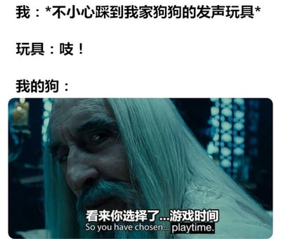 这是一张搞笑meme图，通过文字与电影截图结合，描绘了“不小心踩到狗狗发声玩具后，狗狗反应如同电影名场面”的幽默场景。上方文字依次为“我：*不小心踩到我家狗狗的发声玩具*”“玩具：吱！”“我的狗：”，下方是《指环王》中甘道夫的剧照，配文“看来你选择了...游戏时间”，用电影中严肃的氛围反差萌地表现狗狗被触发玩耍欲的状态。