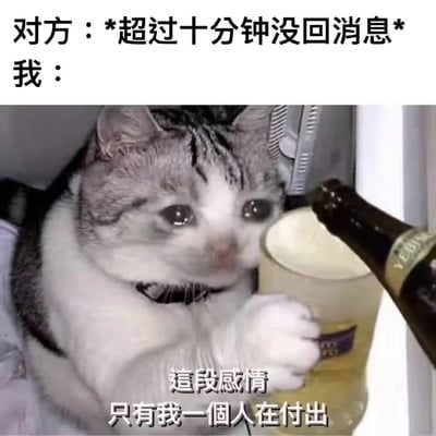 图片上方文字为“对方：*超过十分钟没回消息* 我：”，下方是一只表情悲伤的猫，正手持玻璃杯，旁边有酒瓶往杯中倒液体，图片底部文字为“这段感情只有我一个人在付出”。整体通过拟人化的猫形象，幽默地表达了等待他人回复消息时的焦虑和自我调侃式的悲伤情绪。