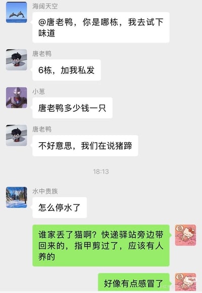 这是一张小区业主微信群的聊天截图，最开始群友“海阔天空”询问昵称叫“唐老鸭”的业主住在第几栋，想去试吃他提到的猪蹄的味道，唐老鸭回复住在6栋让对方加好友私发地址；另一名群友“小葱”没看全上下文，误以为是要买卖名为唐老鸭的物品，询问“唐老鸭多少钱一只”，闹了笑话，唐老鸭随后解释他们此前在讨论猪蹄；后续还有群友询问小区停水的问题，另有业主发消息告知大家在快递驿站捡到一只剪过指甲的家猫寻找失主，同时提到自己好像感冒了，整段对话充满错位的生活趣味笑点。