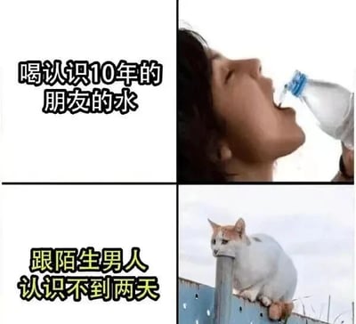 四格对比图，左上文字'喝认识10年的朋友的水'搭配右上真人仰头直接喝塑料瓶水的随意画面；左下文字'跟陌生男人认识不到两天'对应右下白猫蹲坐围栏上冷漠侧头的表情。通过夸张对比幽默展现社交中对熟悉朋友和陌生异性的不同态度反差。