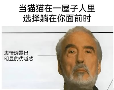 图片上方有文字“当猫猫在一屋子里人里选择躺在你面前时”，下方是一位白发白胡子男性的面部特写，左侧配有文字“表情透露出明显的优越感”。图片通过将男性带有优越感的表情与猫咪选择主人的场景相结合，幽默地表达了当猫咪在多人中选择自己时的得意心情。