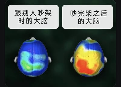 这是一张采用左右对比形式的趣味梗图，通过卡通化的大脑热成像图，直观呈现人们在争吵前后的大脑活跃状态差异：左侧标注“跟别人吵架时的大脑”，对应的大脑热成像图仅局部区域呈现黄绿的活跃状态，大部分为蓝色低活跃区，模拟出吵架当下大脑仅聚焦于争吵应对、思维范围受限的状态；右侧标注“吵完架之后的大脑”，对应的大脑热成像图大面积覆盖黄、橙、红的高活跃区域，生动表现出吵完架后，大脑陷入反复复盘争吵细节、懊恼后悔或不断琢磨应对话术的高强度思维活动，精准戳中大众“事后复盘争吵”的普遍情绪体验，引发共鸣。