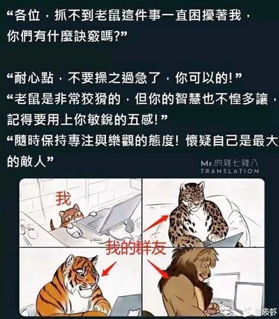 这是一张图文混排的多图拼接卡通梗图，采用动物拟人化的方式构建场景，讽刺现实中常见的“空泛建议”现象。图片分为上下两部分，上半部分是文字对话内容，下半部分是四格卡通图：一只弱小的猫咪被标注为“我”，它因为抓不到老鼠而陷入困扰，坐在电脑前向群里的其他大型猫科动物（被标注为“我的群友”，包括豹子、老虎、狮子）求助抓老鼠的具体诀窍。而群友们给出的回复全是正确但毫无实际指导意义的空泛鼓励，包括让它耐心、运用自身智慧和五感、保持专注乐观等，没有提供任何能解决实际问题的方法。这张图用猫咪和大型猫科动物的反差，映射了现实里类似职场新人求助时，前辈或上级只会喊口号式鼓励却不给出实际帮助的场景，充满幽默与讽刺效果。