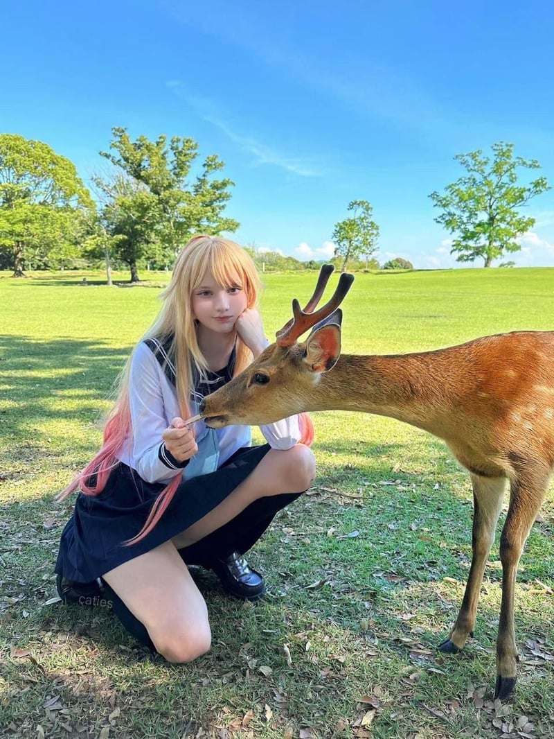 小鹿