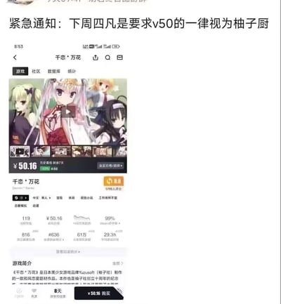 这是一张二次元玩家自制的玩梗图文，顶部是趣味通知文字：「紧急通知：下周四凡是要求v50的一律视为柚子厨」，下方是Steam平台上柚子社美少女游戏《千恋*万花》的商店页面截图，该游戏当前售价50.16元，处于历史最低折扣期。

梗的解析：这里的「v50」既是网络热词「v我50」的缩写，又对应《千恋*万花》的售价接近50元，将索要50元的行为和想要购买柚子社这款打折游戏的粉丝（柚子厨）绑定，是结合游戏折扣信息和网络热梗的趣味玩梗。