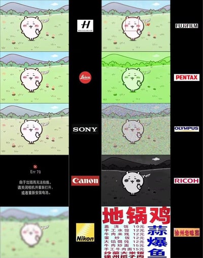 这是一张调侃不同相机品牌拍摄风格的二次创作梗图，使用《Chiikawa》（吉伊卡哇）里的天使形态角色作为拍摄对象，分为左右两列对应不同品牌：
左列：
1. 哈苏：还原角色与场景的清新柔和色彩，风格写实准确
2. 徕卡：暖调柔和的画面质感，色彩细腻温润
3. 索尼：偏冷的柔和色调，画面通透自然
4. 佳能：显示真实的Err 70报错提示，提示相机出错无法拍摄
5. 尼康：画面模糊重影，调侃其对焦或防抖的老问题
右列：
1. 富士：画面出现AF对焦框，角色肤色偏红调，还原富士的色彩风格
2. 宾得：角色与场景整体偏绿调，调侃宾得的色彩倾向
3. 奥林巴斯：画面布满噪点，色彩灰暗，对应老机型高感表现差的特点
4. 理光：黑白高对比度画面，还原理光GR系列的黑白街拍风格
5. 最后用徐州老味菜的地锅鸡菜单收尾，玩本土化的搞笑梗
整图通过画面风格还原相机品牌的常见特点和槽点，在摄影爱好者圈子里流传，趣味十足。