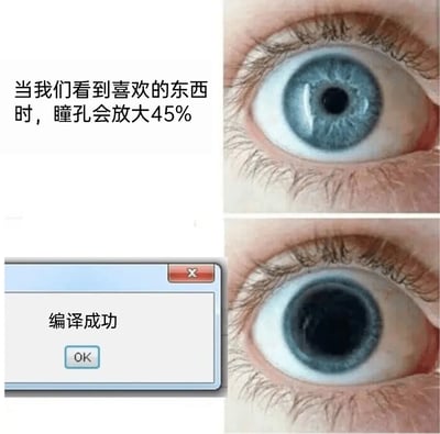 这是一张针对程序员群体创作的趣味梗图，采用上下对比的图文混排形式。上方区域配有文字“当我们看到喜欢的东西时，瞳孔会放大45%”，并搭配一张瞳孔处于正常大小的真人眼睛照片；下方区域则展示了一个Windows风格的“编译成功”弹窗，旁边是一张瞳孔被大幅P图放大的同款眼睛照片。图片用“看到喜欢的事物瞳孔放大”的生理现象，类比程序员在代码编译成功时的极度喜悦，将抽象的情绪转化为直观的视觉变化，精准戳中程序员的日常痛点与爽点，是程序员社群中用来调侃工作日常的趣味内容。